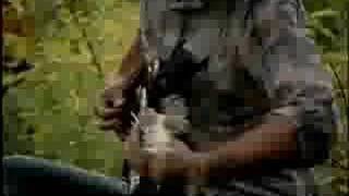 MeWithoutYou - PaperHanger