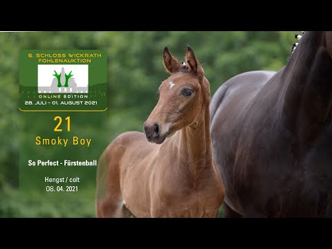 Fohlenauktion 28.7. - 01.8.2021 Katalog-Nr. 21 Smoky Boy HF v. So Perfect - Fürstenball