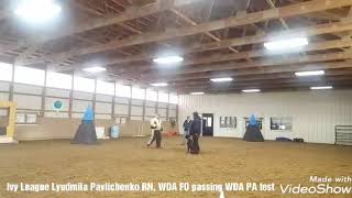 Cavi and Myla both passing WDA FO and WDA PA!!