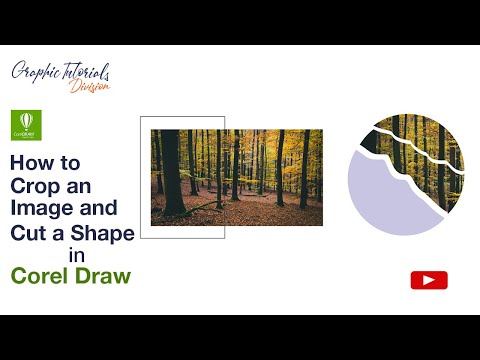 How To Crop an Image and Cut a Shape in Corel Draw