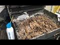 A Big European Hornets Nest Inside the Gas Grill in Cream Ridge, NJ