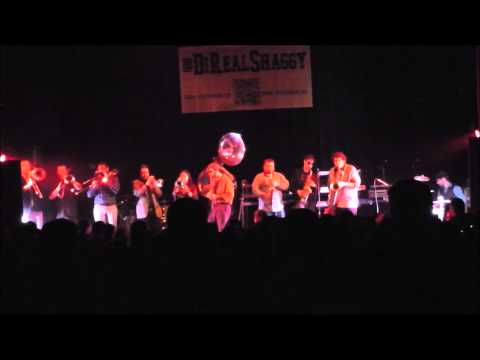 CSBB- Is an Elegy (cover)