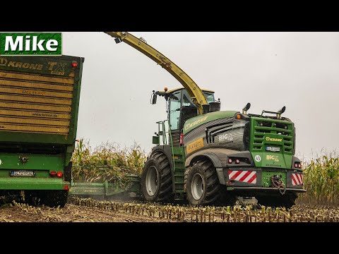 2019 | Mais häckseln mit NEW Krone BiG X 1180, 12 Rows | Biggest Harvester in the World.