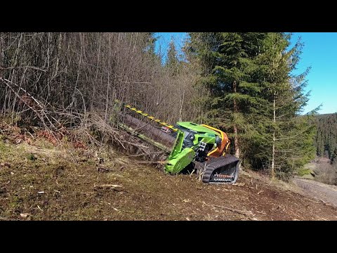 Funkraupe / Geräteträger MDB LV800 mit Forstmulcher und Stubbenfräse