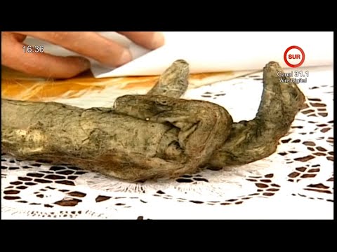 La Séptima Puerta | La Mano de Mono