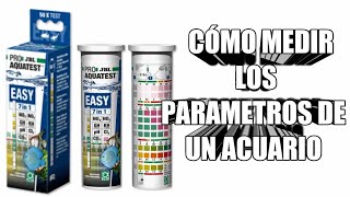 🤔 Cómo MEDIR los PARÁMETROS del AGUA de mi Acuario [En solo 2 minutos]