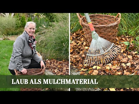 Mulchen statt entsorgen - so nutzt man Herbstlaub als Mulch Material