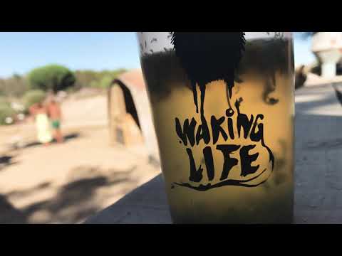 Ben Kaczor @ Waking Life 2019.