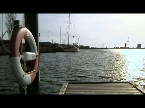 Andreas Lundstedt, Elsa Billgren och Figge Norling om vårtecken på gott och ont - Nyhetsmorgon (TV4)