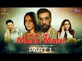 Pyar Kay Naghmay Mann Marzi Part 1 Saqib Sameer Fazyla Lashari Noman Habib TV One