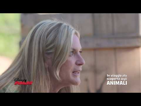 Disney Junior - In Viaggio Alla Scoperta degli Animali - Antilopi e Gazzelle