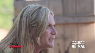 Disney Junior - In Viaggio Alla Scoperta degli Animali - Antilopi e Gazzelle