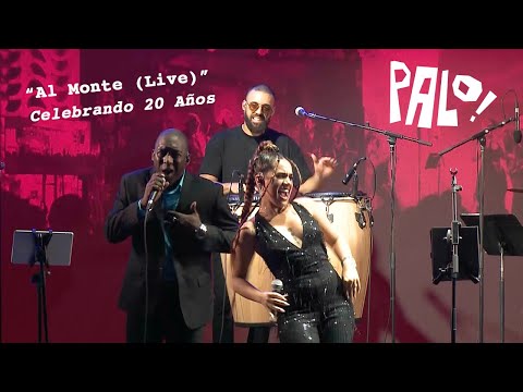 PALO! "Al Monte (Live)" • Musica Cubana Salsa Jazz Funk