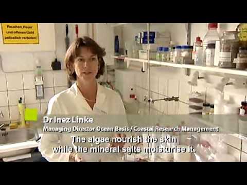 Enterprise Europe Network: Mission possible