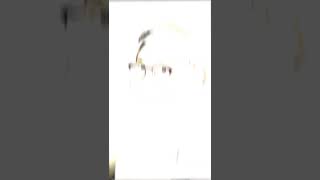 Download lagu STORY WA JEDAG JEDUG ALIGHT MOTION DJ CLOSE YOUR EYES X BANGUN TIDUR SAMBIL SELFI 18 DETIK mp3