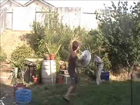 Battle 1 Spartan vs Persian