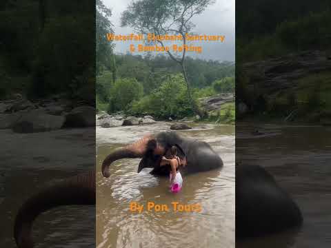 Waterfall, Elephant Sanctuary & Bamboo Rafting