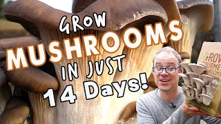How To Grow Mushrooms At Home in 14 Days