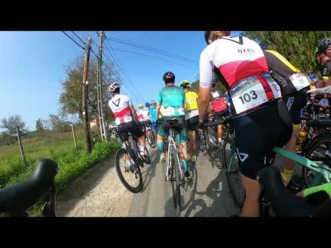 Cupa Max Ausnit 2020