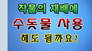 [텃밭농부.981]  작물재배에 수돗물을 바로 사용 해도 되나? #수돗물