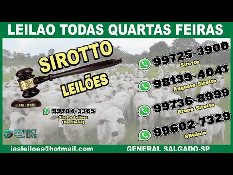 LEILÃO DE GADO  -  SIROTTO LEILÕES - GENERAL SALGADO - SP   03/01/2024