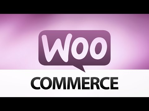 WooCommerce Troubleshooter How to Fix Cart Update Issue Alternative Solution