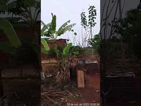 chuva no sertão do Cariri Paraíbano