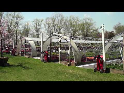 Sam Bridge Nursery Spring 2017