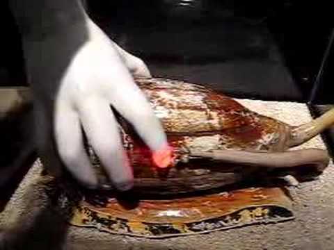 Index Testarum Conchyliorum (1742) ニッコロ・グアルティエリ作