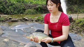 Girl's Daily Life | Fishing with Machines Pump in Rivers and Lakes | Harvesting a Lots Of Fish
