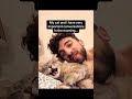Cats Accidentally Speaking Human Real Words Or Just Meow Madness Shorts Catshorts Cat