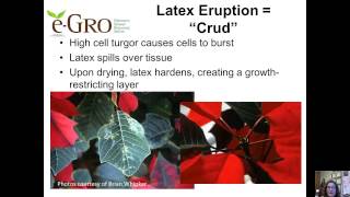 Physiological Disorders Env Stresses