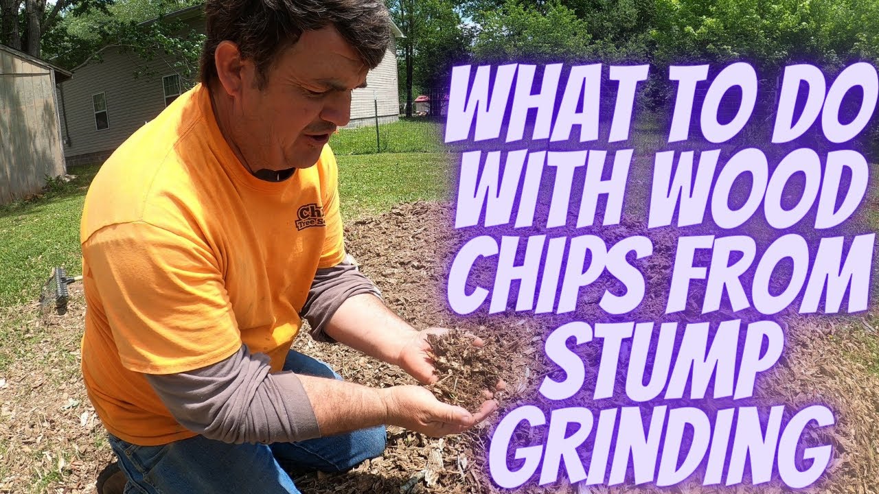 Homemade Stump Grinder
