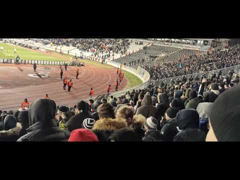 Partizan Fejenord 2:5 Feyenoord Rotterdam Live Atmosphere 4K