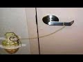 Perfectly Cut Screams 39