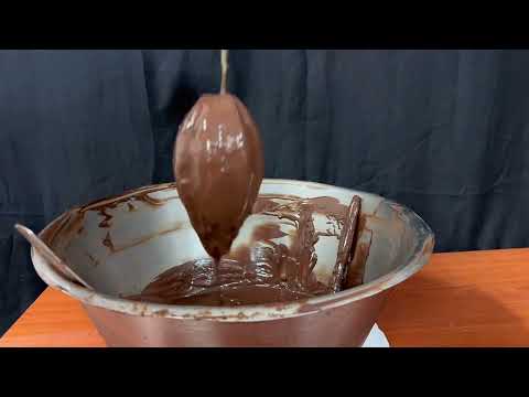 Chocolate Cocoa tree