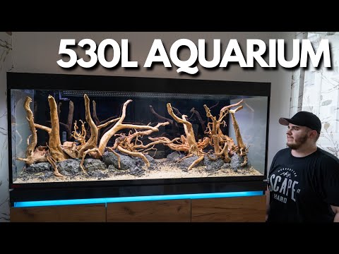 Setting up an XXL aquarium! Eheim Incpiria 530 Hardscape!