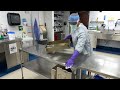 Explore a Career as a Sterile Processing Technician – Surgery