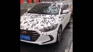 Download lagu Balasan Untuk Bangsa P3mbunuh Ch1no mp3