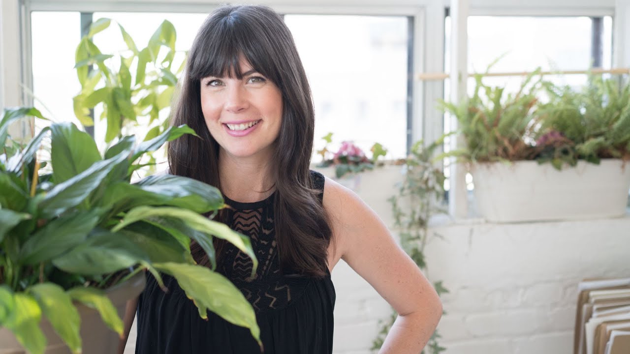 5 Surprising Health Benefits of Indoor Plants