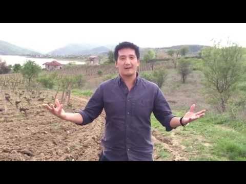 Wine Travel in the Tikveš Valley, North Macedonia