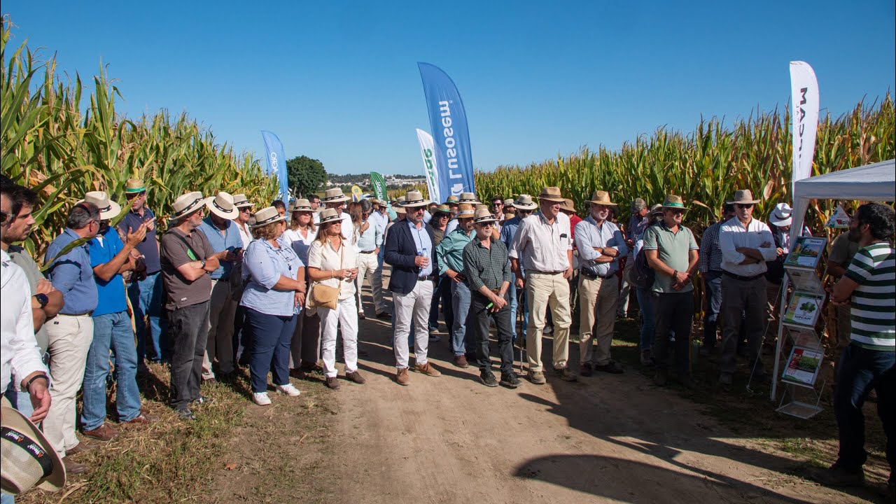 ANPROMIS: Dia de Campo "InovMilho 2024" Coruche (13/09/2024)