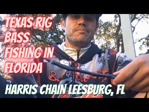 What BAIT to use Bass Fishing on the Harris Chain!