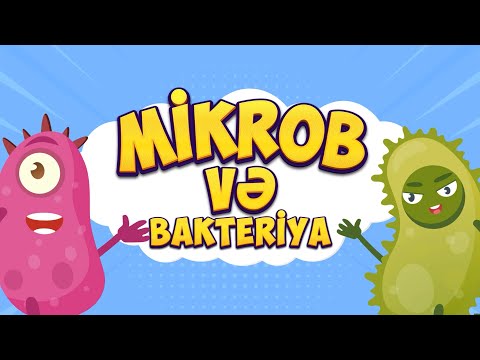 Mikrob və bakteriya-Əllərimizi təmiz saxlamağı öyrənirik (Azərbaycan dilində öyrədici cizgi filmlər)