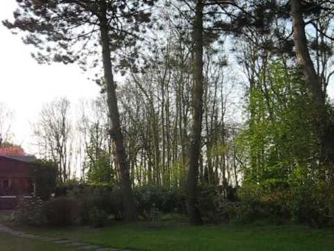 Lärmbelästigung durch Windpark in Barlt