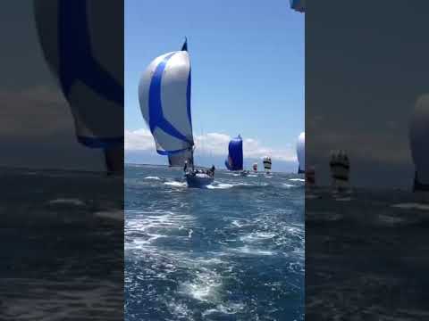 Racing Versus Cruising Sailors