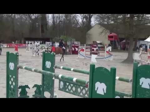 CSI 2 étoiles Barbizon   29 mars 2015   GP 145 barrage   Mathieu Billot et U2 NL