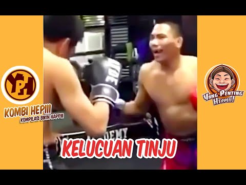 kombi-heppiii-kelucuan-tinju