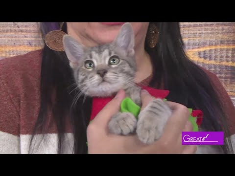 ADL | Great Day SA - YouTube