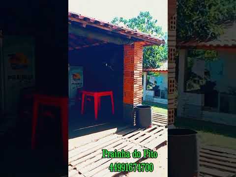 Prainha do Pito em Inajá PR. Ideal para camping e Pesca 🎣🎣#viral #viralvideo #youtubeshorts